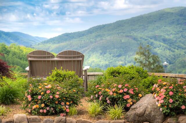 Image for Stay and Save for Spring 2026